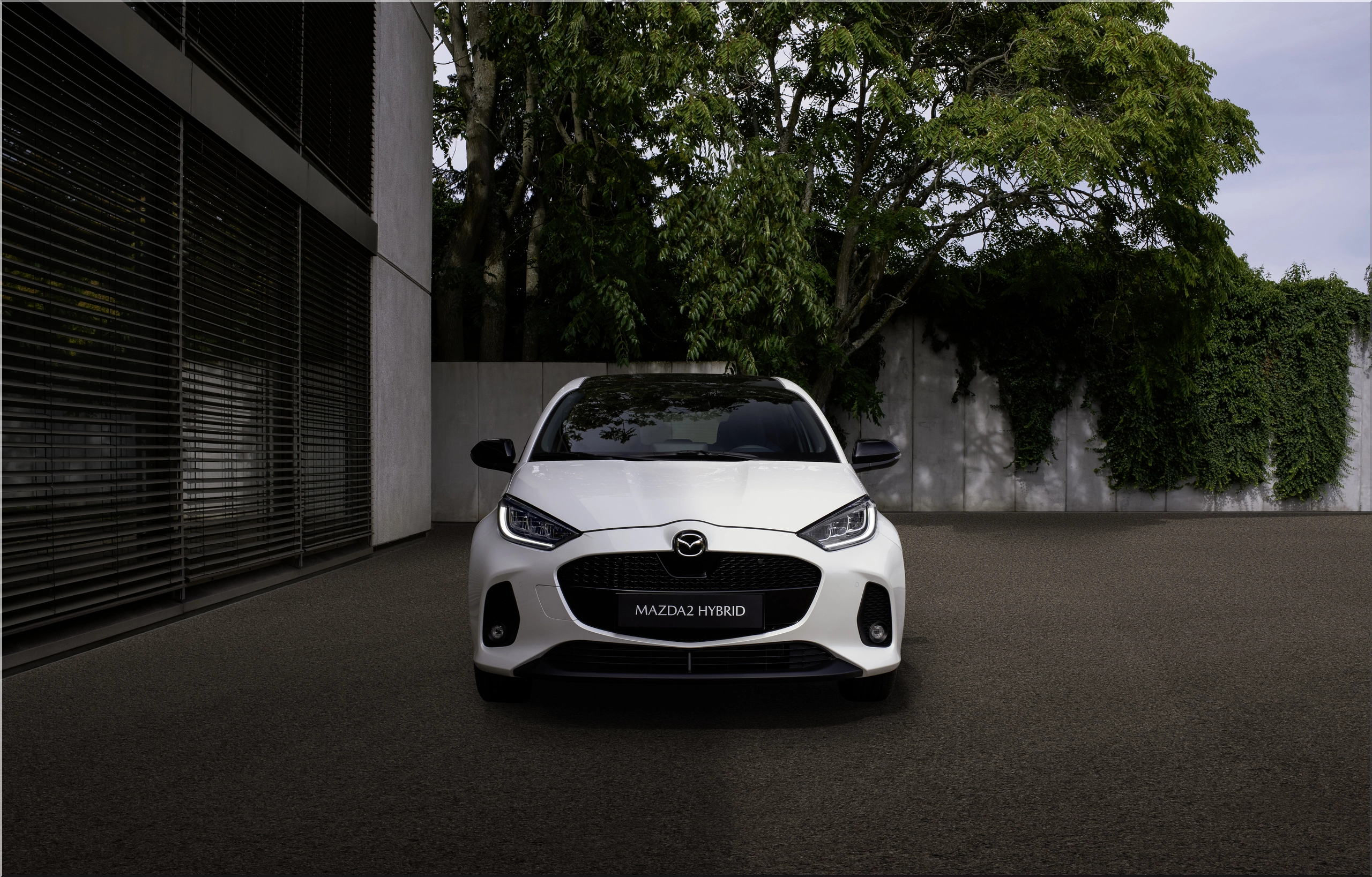 The 2024 Mazda2 Hybrid: A Compact Hatchback With A Big Personality ...